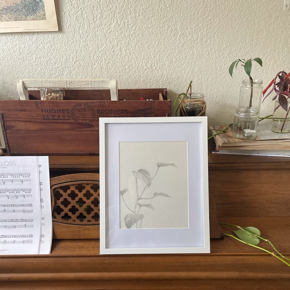 Print of original art plant pencil drawing
